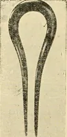 An illustration from General price list. (1904)