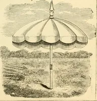 An illustration from General price list. (1904)