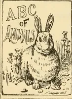 An illustration from General price list. (1904)