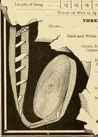 An illustration from General price list. (1904)