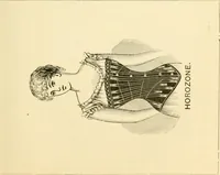 An illustration from General price list. (1904)