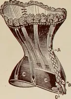 An illustration from General price list. (1904)