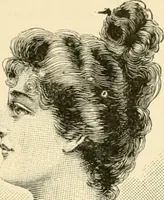 An illustration from General price list. (1904)