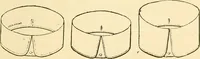 An illustration from General price list. (1904)