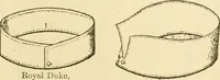 An illustration from General price list. (1904)