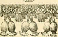 An illustration from General price list. (1904)
