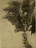 Picture 44 of 91 from The genesis of art-form; an essay in comparative æsthetics showing the identity of the sources, methods, and effects of composition in music, poetry, painting, sculpture and architecture (1893), leaf 181