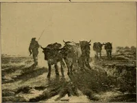 Picture 46 of 91 from The genesis of art-form; an essay in comparative æsthetics showing the identity of the sources, methods, and effects of composition in music, poetry, painting, sculpture and architecture (1893), leaf 197