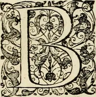 An illustration from Genii Serenissimorum Principum Philippi Wilhelmi Comitis Palatini Rheni ... sponsi, et Annae Catharinae Constantiae, augustissimorum regum Sigismundi III. filiae, Vladislai IV. sororis, Poloniae et Sueciae &c principis, sponsae : quos in nuptiali eorundem solennitate tria Societatis Jesu Collegia Dusseldorpiense, Monasterioeiffliacum e[t] Marcoduranum clementissimis suis dominis et munificentissimis fundatoribus D. C (1642)