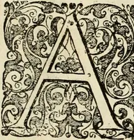 An illustration from Genii Serenissimorum Principum Philippi Wilhelmi Comitis Palatini Rheni ... sponsi, et Annae Catharinae Constantiae, augustissimorum regum Sigismundi III. filiae, Vladislai IV. sororis, Poloniae et Sueciae &c principis, sponsae : quos in nuptiali eorundem solennitate tria Societatis Jesu Collegia Dusseldorpiense, Monasterioeiffliacum e[t] Marcoduranum clementissimis suis dominis et munificentissimis fundatoribus D. C (1642)