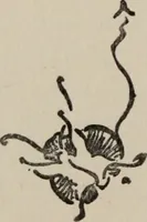 An illustration from The gentle art of making enemies, as pleasingly exemplified in many instances, wherein the serious ones of this earth, carefully exasperated, have been prettily spurred on to unseemliness and indiscretion, while overcome by an undue sense of right (1909)