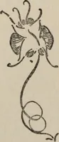 An illustration from The gentle art of making enemies, as pleasingly exemplified in many instances, wherein the serious ones of this earth, carefully exasperated, have been prettily spurred on to unseemliness and indiscretion, while overcome by an undue sense of right (1909)