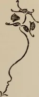 An illustration from The gentle art of making enemies, as pleasingly exemplified in many instances, wherein the serious ones of this earth, carefully exasperated, have been prettily spurred on to unseemliness and indiscretion, while overcome by an undue sense of right (1909)