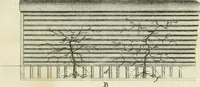 An illustration from The gentleman and farmer's architect : a new work, containing a great variety of useful and genteel designs, being correct plans and elevations of parsonage and farm houses, lodges for parks, pinery, peach, hot and green houses, with the fire-wall, tan-pit, &c. particularly described ... : with scales and tables of reference, describing the several parts, with their just dimensions and use (1762)