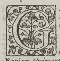An illustration from A geographicall and anthologicall description of all the empires and kingdomes, both of continent and ilands in this terrestriall globe. : Relating their scituations, manners, customes, prouinces, and gouernements (1618)