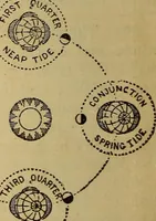 Picture 47 of 82 from The geography of the heavens, and class-book of astronomy: accompanied by a celestial atlas (1873), leaf 291