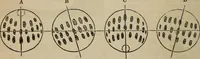 An illustration from The geography of the heavens, and class-book of astronomy: (1858)