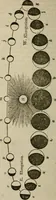 An illustration from The geography of the heavens, and class book of astronomy: (1849)