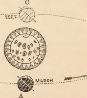 Picture 6 of 83 from The geography of the heavens and classbook of astronomy; (1863), leaf 176