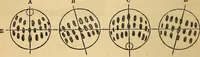An illustration from The geography of the heavens : and class-book of astronomy : accompanied by a celestial atlas (1860)