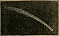 Picture 29 of 47 from The geography of the heavens, and class book of astronomy: (1853), leaf 263