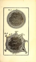 An illustration from Geological text-book, prepared for popular lectures on North American geology : with applications to agriculture and the arts (1830)