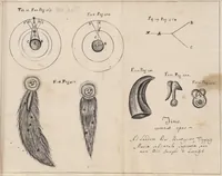 Picture 3 of 3 from Geometriae rudimenta in gratiam eorum qui philo[so]phiae operam sunt daturi (1675), leaf 111