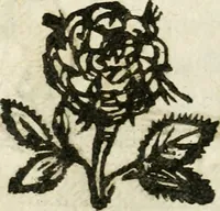 An illustration from Geometria famigliare, et instruttione practica (1671)