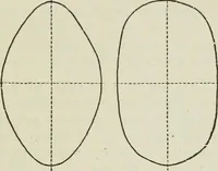 An illustration from Geometrical drawing, projection drawing, freehand and ornamental drawing, wash work and brush drawing, elementary perspective drawing, architectural drawing (1921)