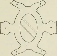 An illustration from Geometrical drawing, projection drawing, freehand and ornamental drawing, wash work and brush drawing, elementary perspective drawing, architectural drawing (1921)