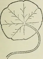 An illustration from Geometrical drawing, projection drawing, freehand and ornamental drawing, wash work and brush drawing, elementary perspective drawing, architectural drawing (1921)