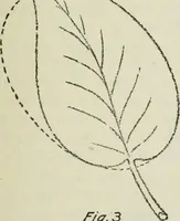 An illustration from Geometrical drawing, projection drawing, freehand and ornamental drawing, wash work and brush drawing, elementary perspective drawing, architectural drawing (1921)