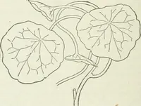 An illustration from Geometrical drawing, projection drawing, freehand and ornamental drawing, wash work and brush drawing, elementary perspective drawing, architectural drawing (1921)