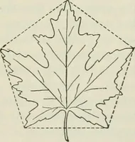 An illustration from Geometrical drawing, projection drawing, freehand and ornamental drawing, wash work and brush drawing, elementary perspective drawing, architectural drawing (1921)