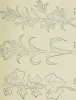 An illustration from Geometrical drawing, projection drawing, freehand and ornamental drawing, wash work and brush drawing, elementary perspective drawing, architectural drawing (1921)
