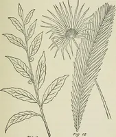 An illustration from Geometrical drawing, projection drawing, freehand and ornamental drawing, wash work and brush drawing, elementary perspective drawing, architectural drawing (1921)
