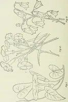 An illustration from Geometrical drawing, projection drawing, freehand and ornamental drawing, wash work and brush drawing, elementary perspective drawing, architectural drawing (1921)