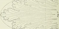 An illustration from Geometrical drawing, projection drawing, freehand and ornamental drawing, wash work and brush drawing, elementary perspective drawing, architectural drawing (1921)