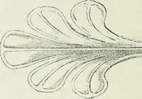 An illustration from Geometrical drawing, projection drawing, freehand and ornamental drawing, wash work and brush drawing, elementary perspective drawing, architectural drawing (1921)