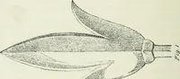An illustration from Geometrical drawing, projection drawing, freehand and ornamental drawing, wash work and brush drawing, elementary perspective drawing, architectural drawing (1921)