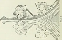 An illustration from Geometrical drawing, projection drawing, freehand and ornamental drawing, wash work and brush drawing, elementary perspective drawing, architectural drawing (1921)