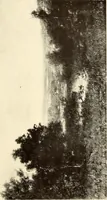 An illustration from George A. Hearn gift to the Metropolitan Museum of Art in the city of New York and Arthur Hoppock Hearn memorial fund (1913)