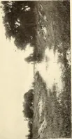 Picture 57 of 137 from George A. Hearn gift to the Metropolitan Museum of Art in the city of New York and Arthur Hoppock Hearn memorial fund (1913), leaf 122