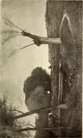 An illustration from George A. Hearn gift to the Metropolitan Museum of Art in the city of New York and Arthur Hoppock Hearn memorial fund (1913)