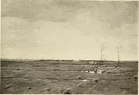 Picture 114 of 137 from George A. Hearn gift to the Metropolitan Museum of Art in the city of New York and Arthur Hoppock Hearn memorial fund (1913), leaf 216