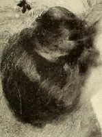 An illustration from George A. Hearn gift to the Metropolitan Museum of Art in the city of New York and Arthur Hoppock Hearn memorial fund (1913)