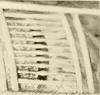 Picture 135 of 137 from George A. Hearn gift to the Metropolitan Museum of Art in the city of New York and Arthur Hoppock Hearn memorial fund (1913), leaf 250