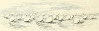 Picture 70 of 159 from George Cruikshank's Table-book (1845), leaf 122