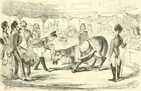 Picture 144 of 159 from George Cruikshank's Table-book (1845), leaf 303