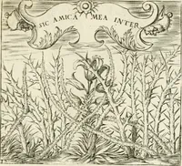 An illustration from Georgiae Montaneae, nobilis Gallae, Emblematvm Christianorvm centvria : cum eorundem Latina interpretatione = Cent emblemes chrestiens (1584)